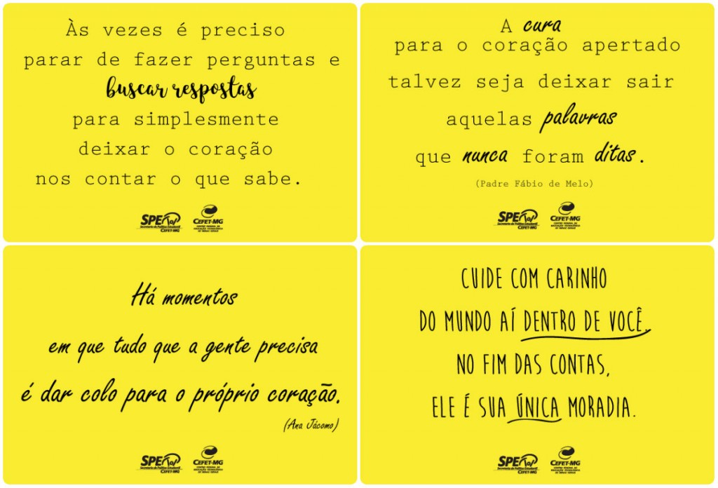 collage4