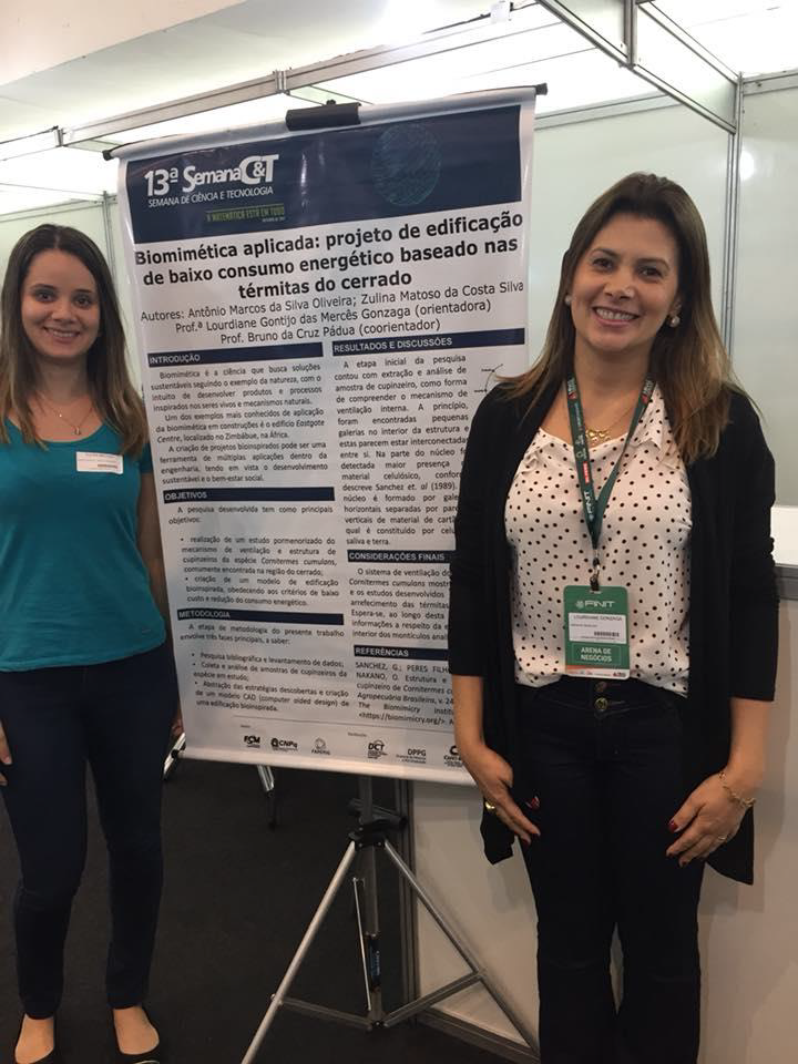 Trabalho Biomimética Aplicada: Projeto de Edificação de Baixo Consumo Energético Baseado nas Térmitas do Cerrado.
